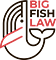 Big Fish Law